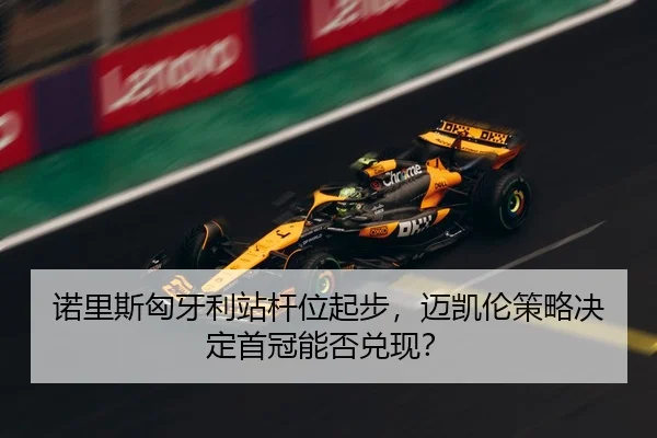 nuo-li-si-xiong-ya-li-zhan-gan-wei-qi-bu-mai-kai-lun-ce-lve-jue-ding-shou-guan-neng-fou-dui-xian-3-472.jpg