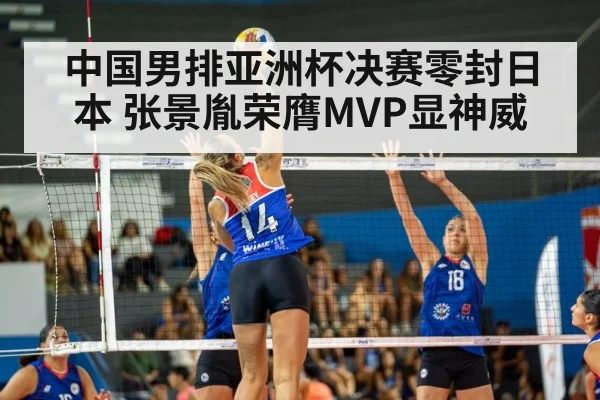 volleyball spike action