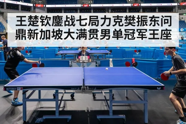 王楚钦鏖战七局力克樊振东问鼎新加坡大满贯男单冠军王座