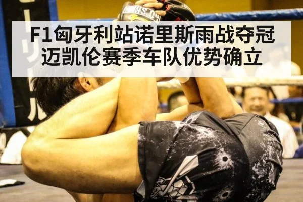 F1匈牙利站诺里斯雨战夺冠迈凯伦赛季车队优势确立